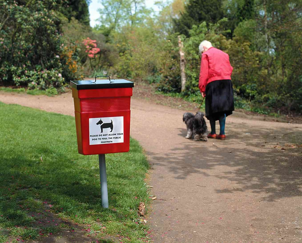 Eliminación de excrementos de perros: ¡Todo lo que necesitas saber!