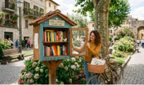 Casitas para intercambio de libros