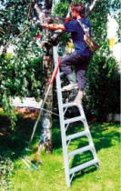 Escaleras para agricultura