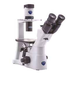 microscopio-biologico-invertido-h595-07