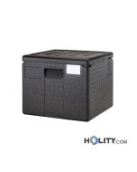 contenedor-isotermico-para-el-transporte-pizza-h464_196