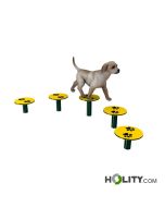 circuito-de-agility-para-perros-h521-32