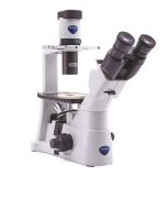 microscopio-biologico-invertido-h595-07