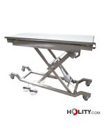 mesa-operaciones-para-veterinaria-h601_53