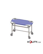 camilla-veterinaria-h938-01