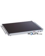 placa-caliente-para-alimentos-h22073