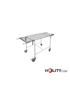 camilla-para-clinica-veterinaria-radiotransparente-h601_41
