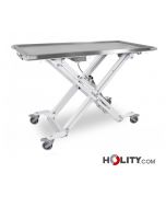 mesa-operatorio-para-veterinaria-h930_39