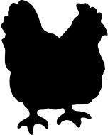 pizarra-con-forma-de-gallina-adhesiva-h14842