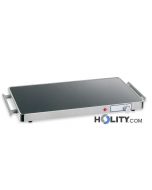 placa-caliente-para-alimentos-h22072