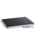 placa-caliente-para-alimentos-h22073