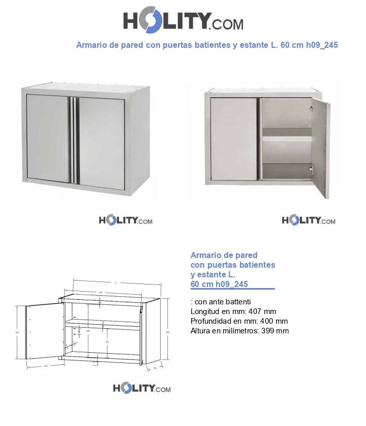 Armario de pared con puertas batientes y estante L. 60 cm h09_245
