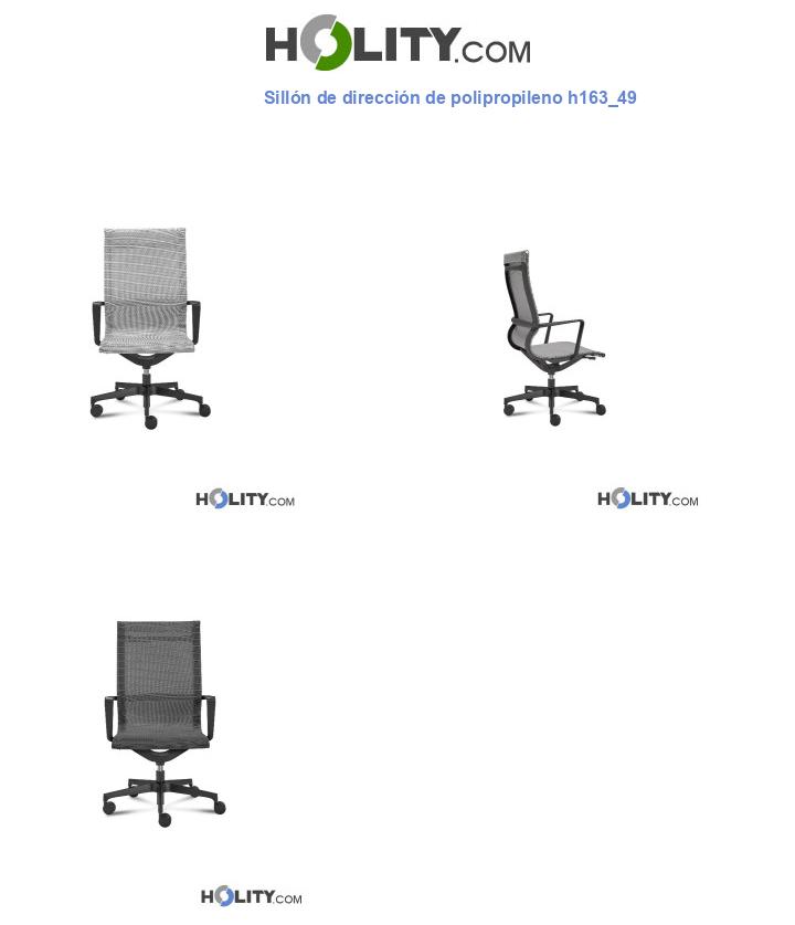 Sillón de dirección de polipropileno h163_49