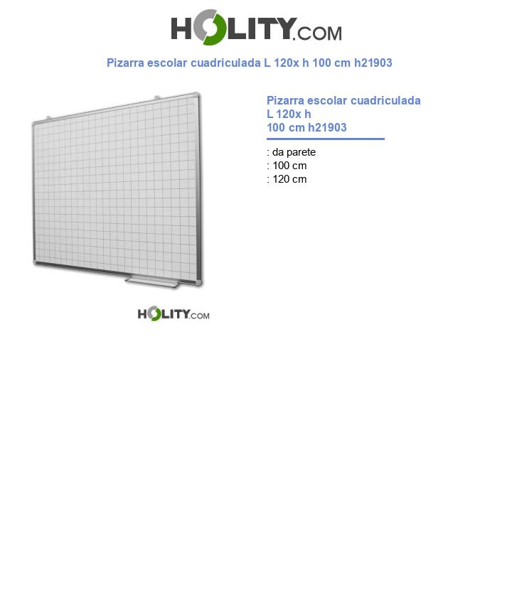 Pizarra escolar cuadriculada L 120x h 100 cm h21903