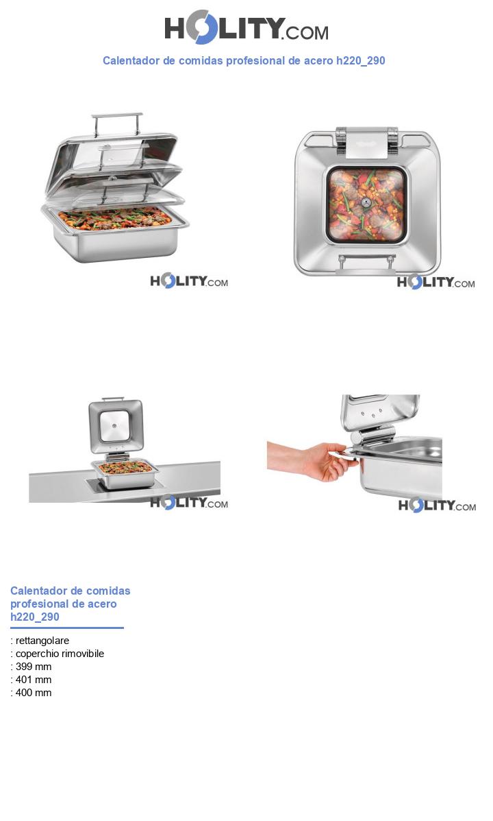 Calentador de comidas profesional de acero h220_290