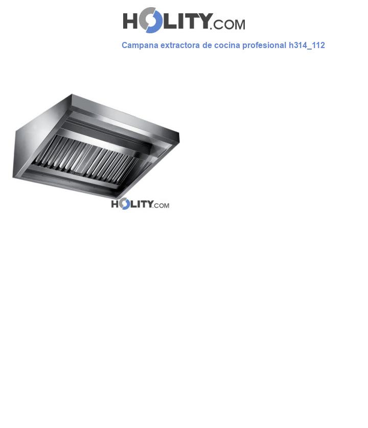 Campana extractora de cocina profesional h314_112