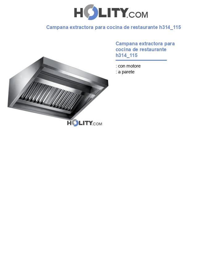 Campana extractora para cocina de restaurante h314_115