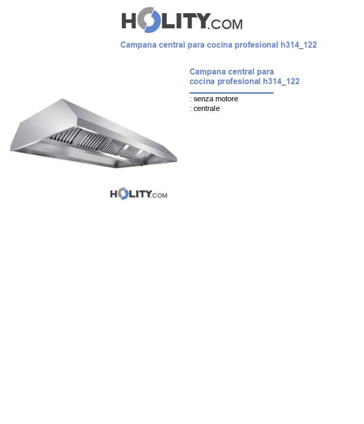 Campana central para cocina profesional h314_122