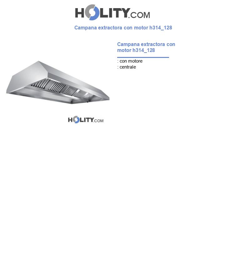 Campana extractora con motor h314_128