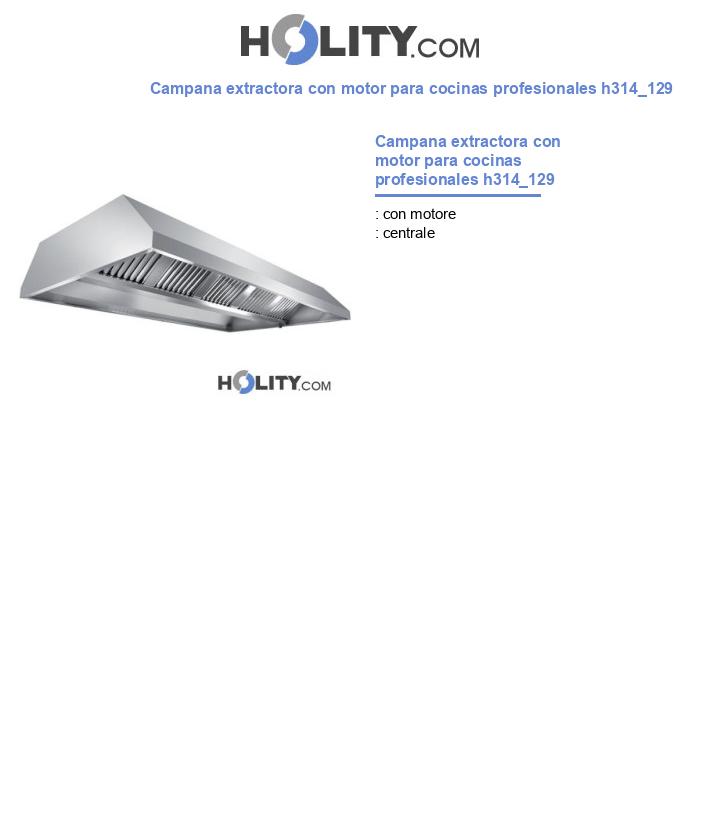 Campana extractora con motor para cocinas profesionales h314_129