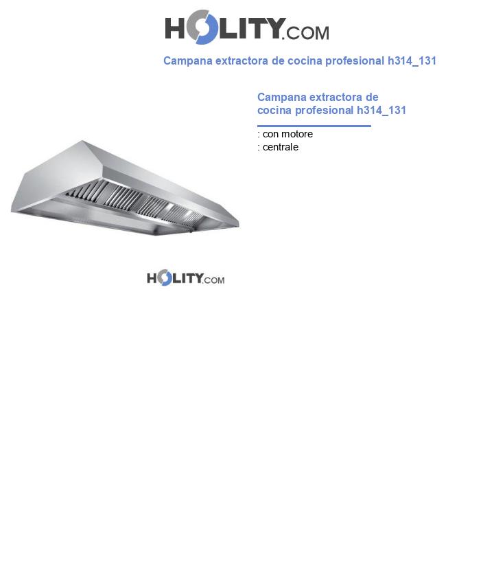 Campana extractora de cocina profesional h314_131