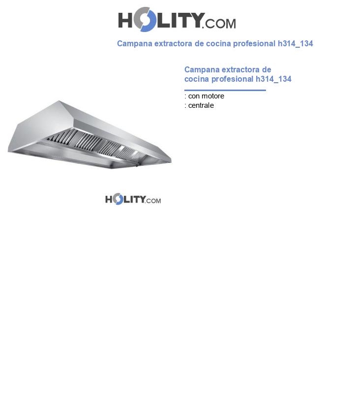 Campana extractora de cocina profesional h314_134