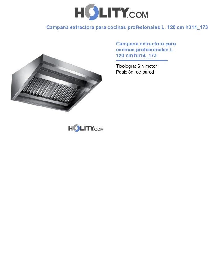 Campana extractora para cocinas profesionales L. 120 cm h314_173