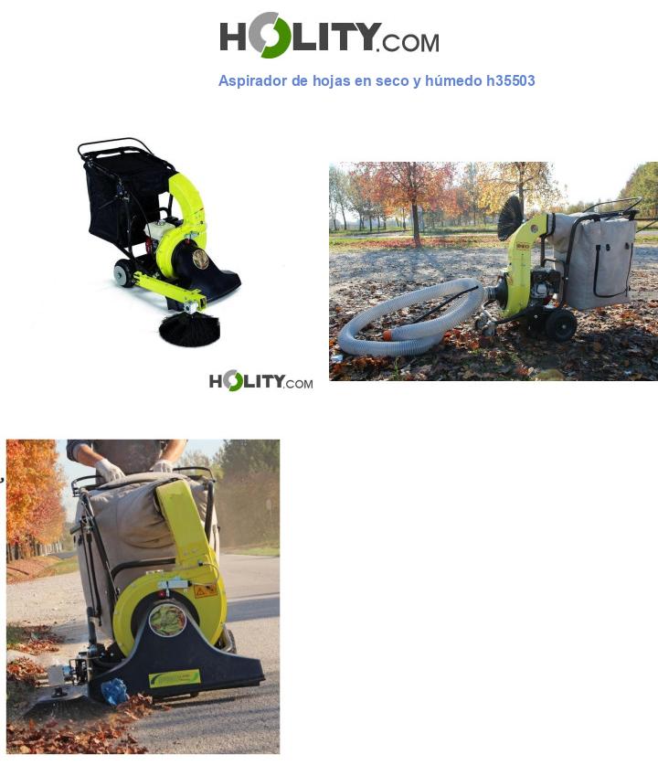 Aspirador de hojas en seco y húmedo h35503