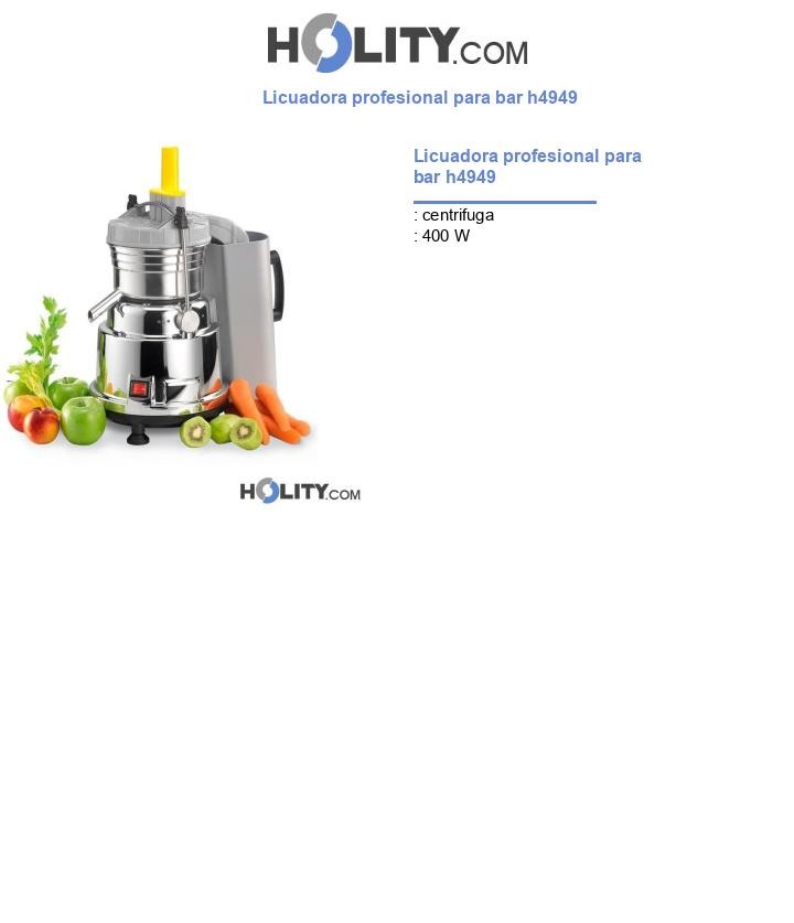 Licuadora profesional para bar h4949