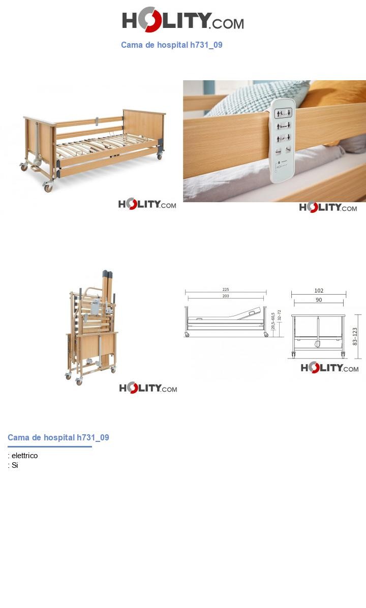 Cama de hospital h731_09