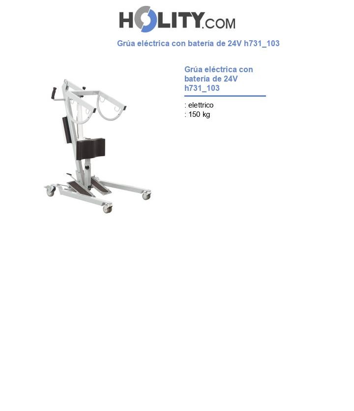 Grúa eléctrica con batería de 24V h731_103