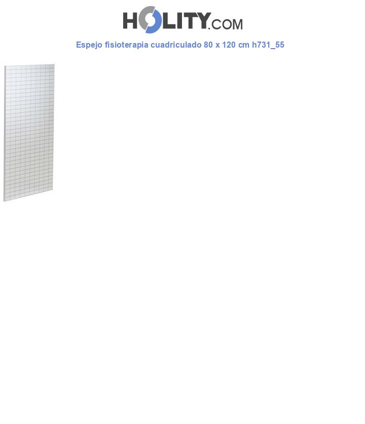 Espejo fisioterapia cuadriculado 80 x 120 cm h731_55