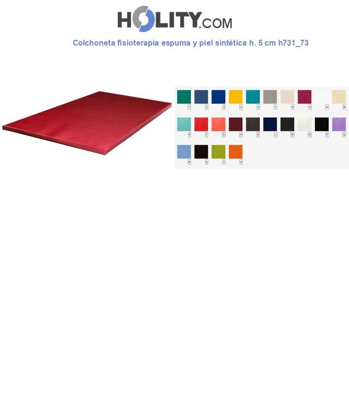 Colchoneta fisioterapia espuma y piel sintética h. 5 cm h731_73