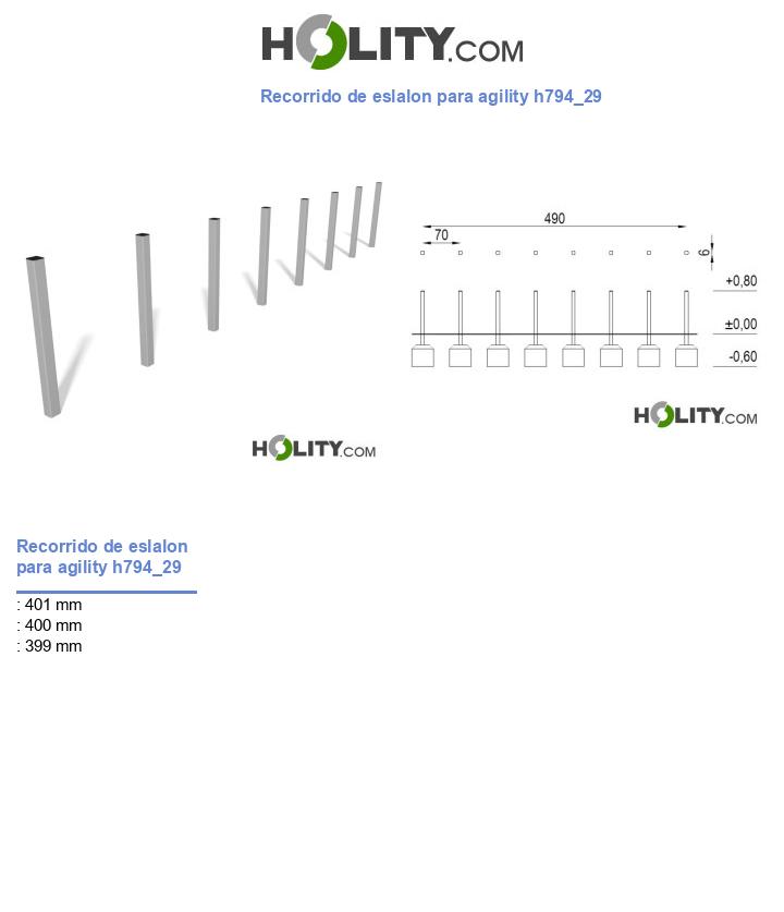 Recorrido de eslalon para agility h794_29