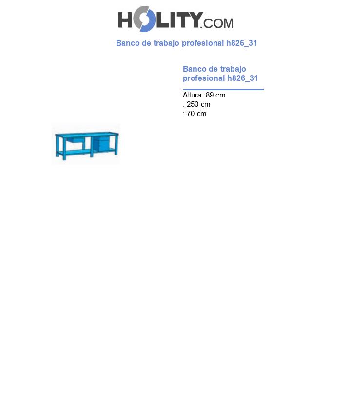 Banco de trabajo profesional h826_31