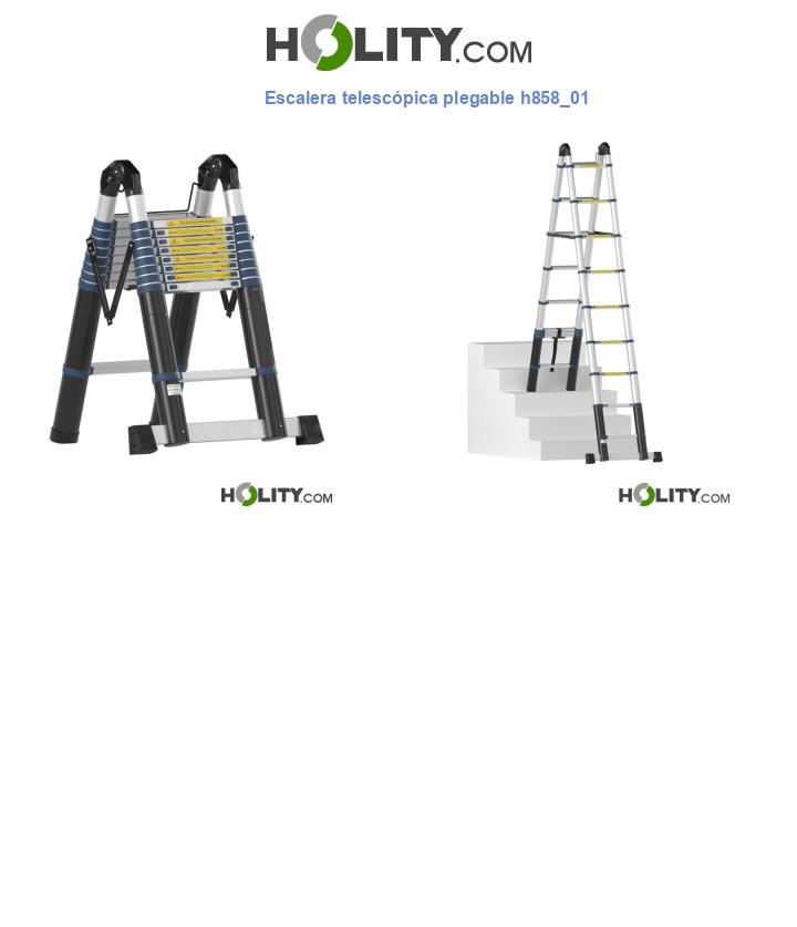 Escalera telescópica plegable h858_01