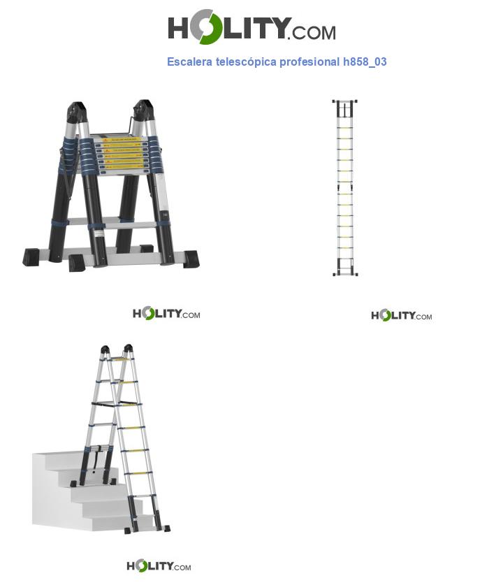 Escalera telescópica profesional h858_03
