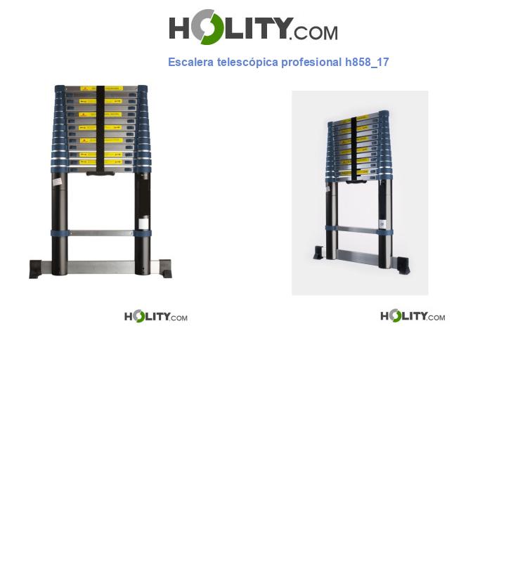 Escalera telescópica profesional h858_17