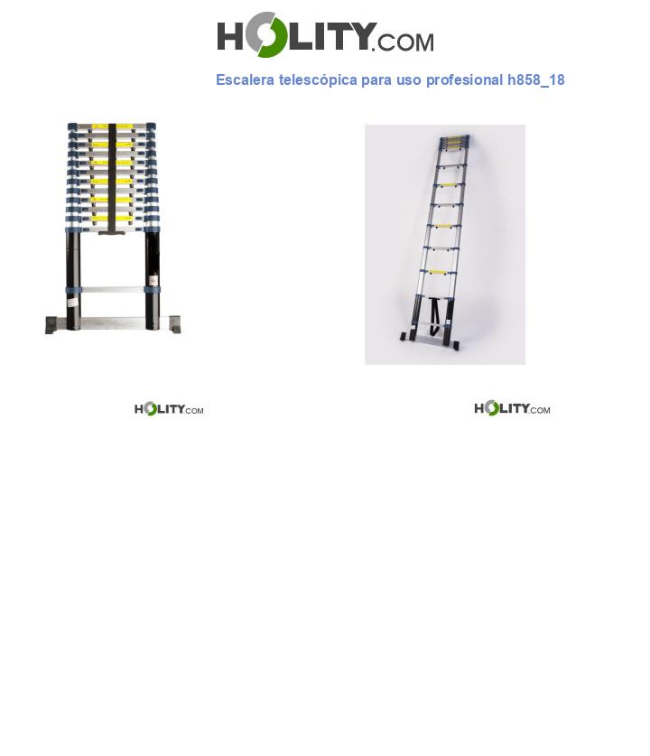 Escalera telescópica para uso profesional h858_18