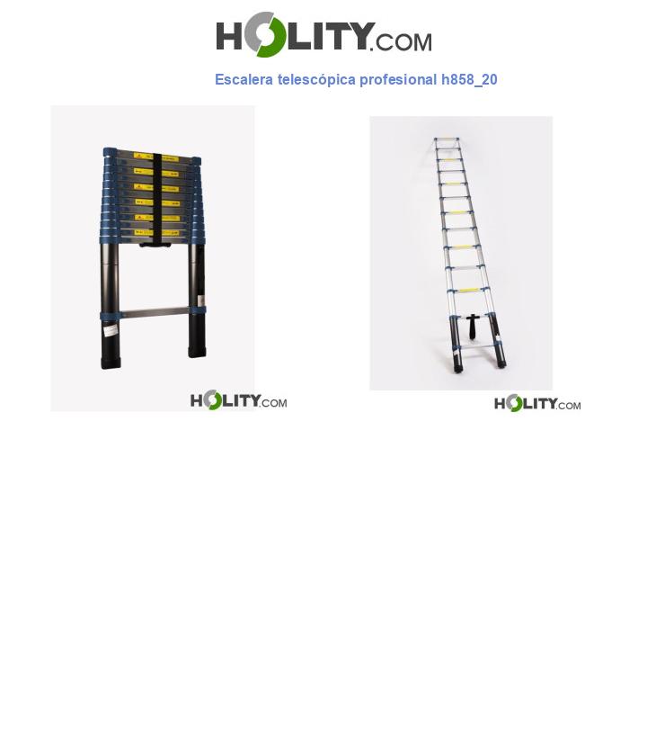 Escalera telescópica profesional h858_20