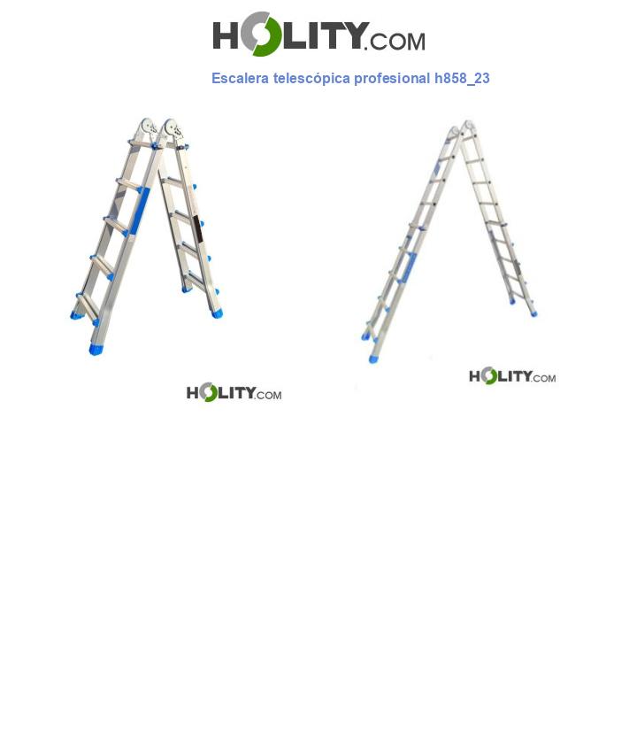 Escalera telescópica profesional h858_23