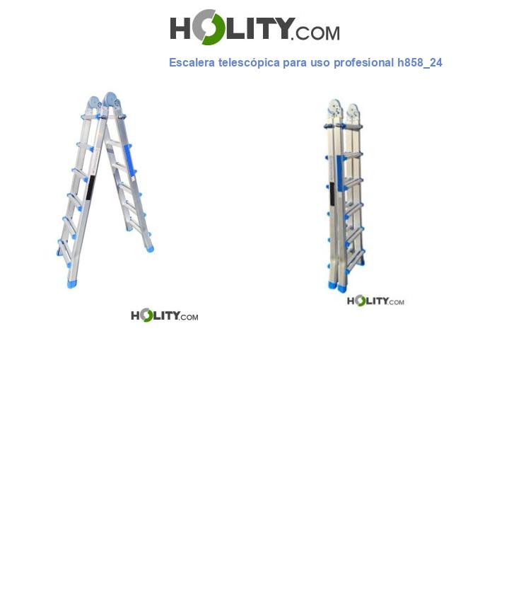 Escalera telescópica para uso profesional h858_24