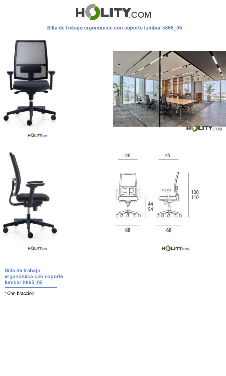 Silla de trabajo ergonómica con soporte lumbar h865_05