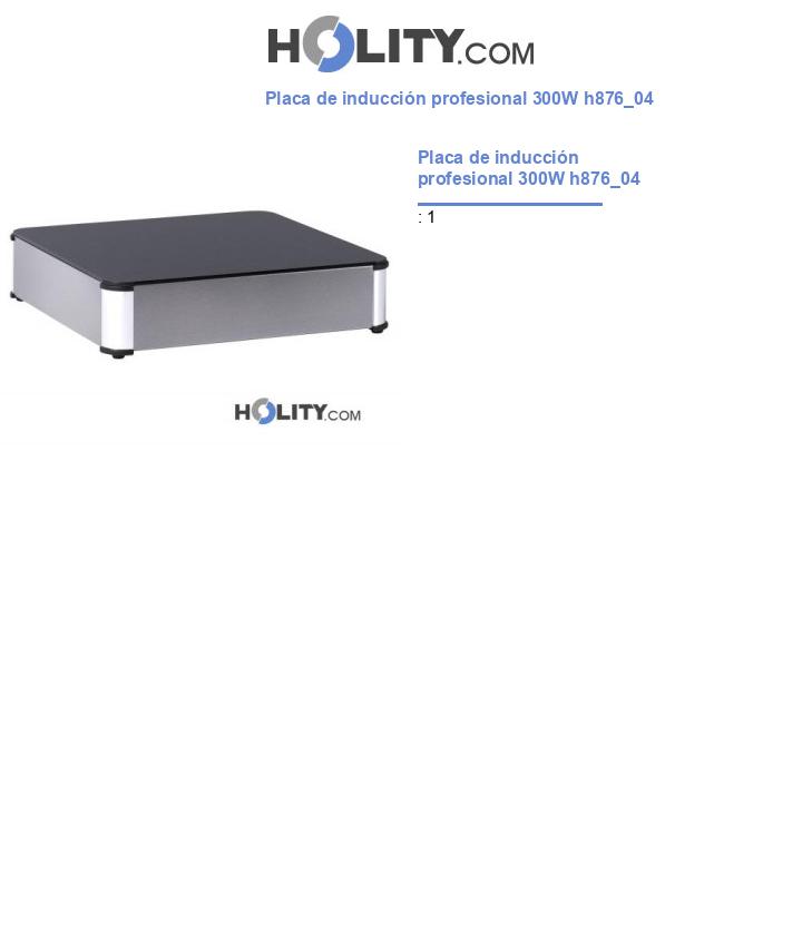 Placa de inducción profesional 300W h876_04