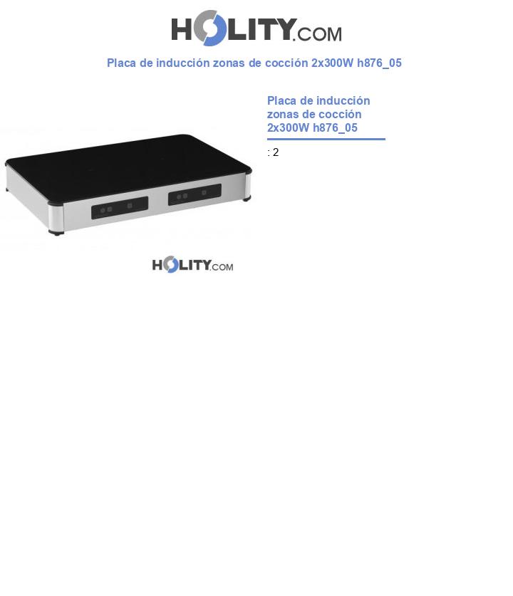 Placa de inducción zonas de cocción 2x300W h876_05