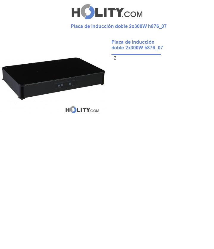 Placa de inducción doble 2x300W h876_07