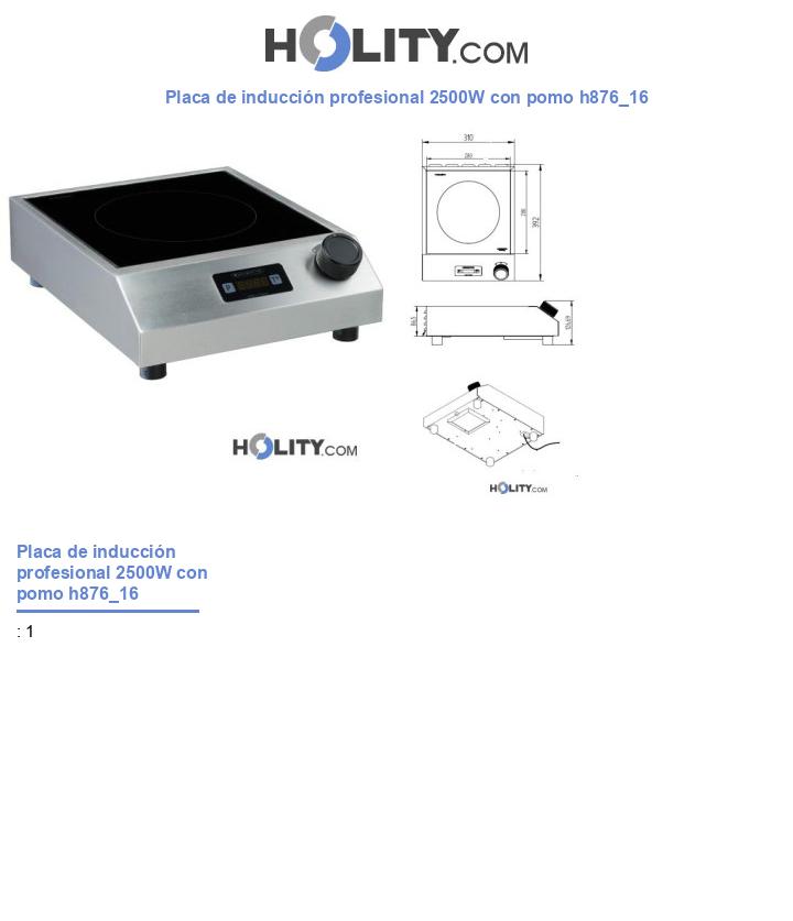 Placa de inducción profesional 2500W con pomo h876_16