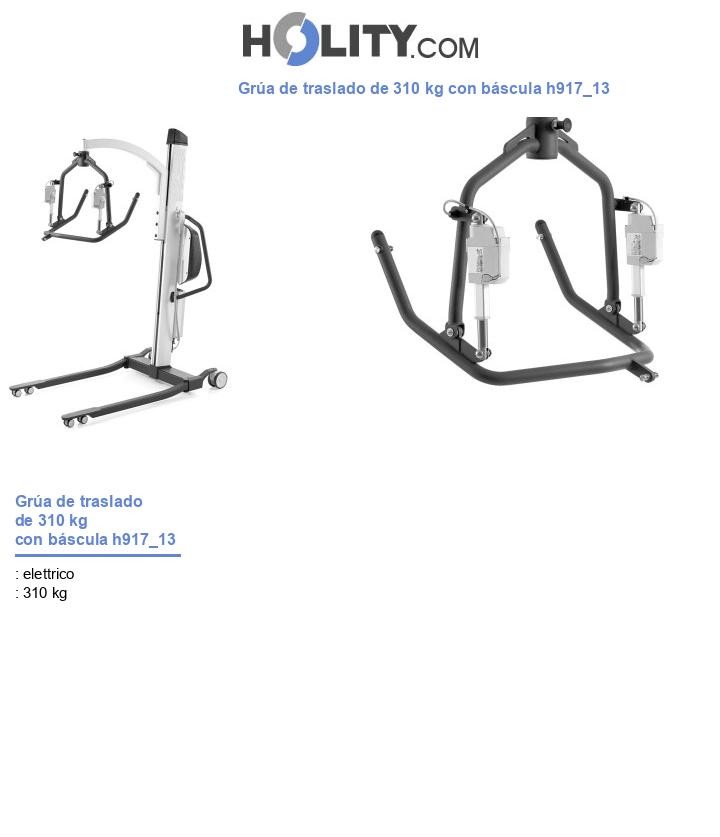Grúa de traslado de 310 kg con báscula h917_13