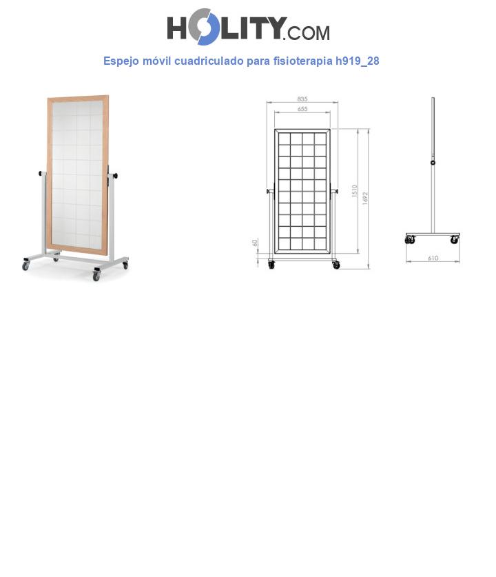 Espejo móvil cuadriculado para fisioterapia h919_28
