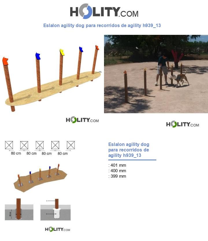 Eslalon agility dog para recorridos de agility h939_13